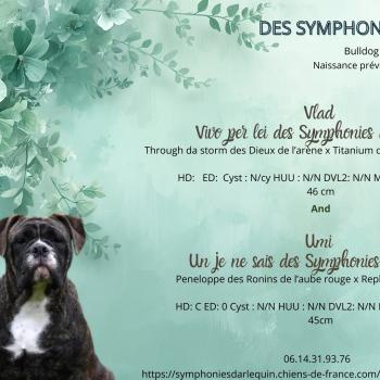 Première portée de l'année