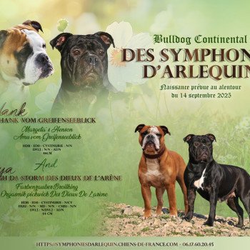Des bébés pour mi-septembre !
