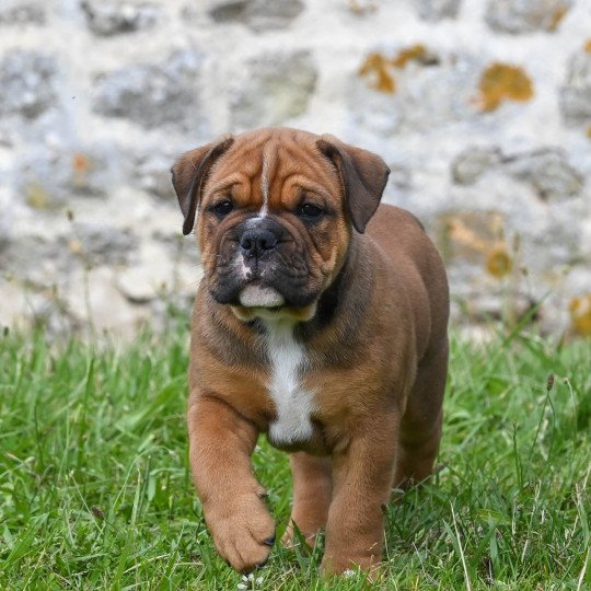 480472461_1033222675267452_6004069866061015647_n