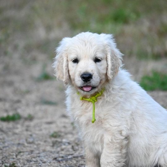 3aeaca88-99fa-9994-cdb0-369522abcfa4_min