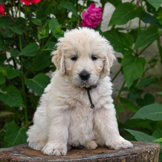 480215176_1033231695266550_6155309941875985799_n