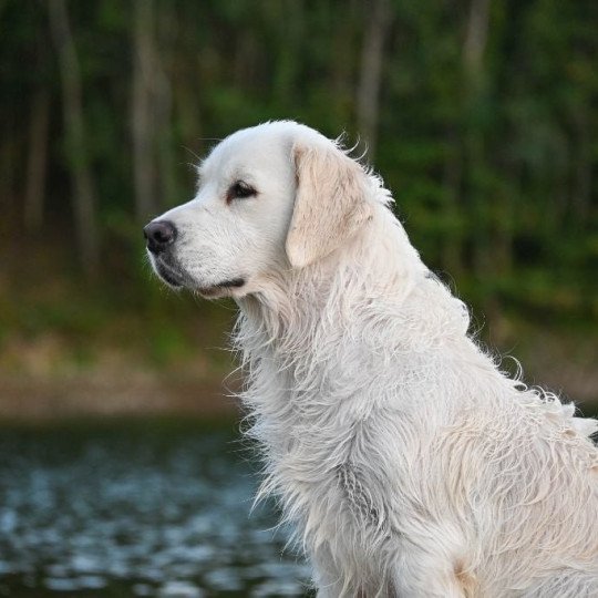 2b3deefa-0073-7524-f5f7-258cb7b17807_min