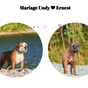 Mariage Undy ❤ Ernest