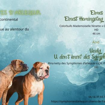 Mariage Undy ❤ Ernest