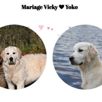 Mariage Vicky ❤ Yoko